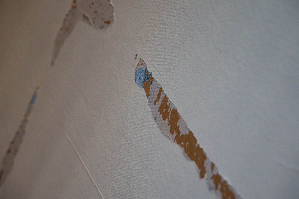 Mold Remediation service in Euless, TX